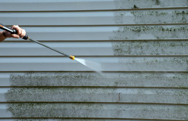 Animal Enclosure Cleaning in Tahoma, CA